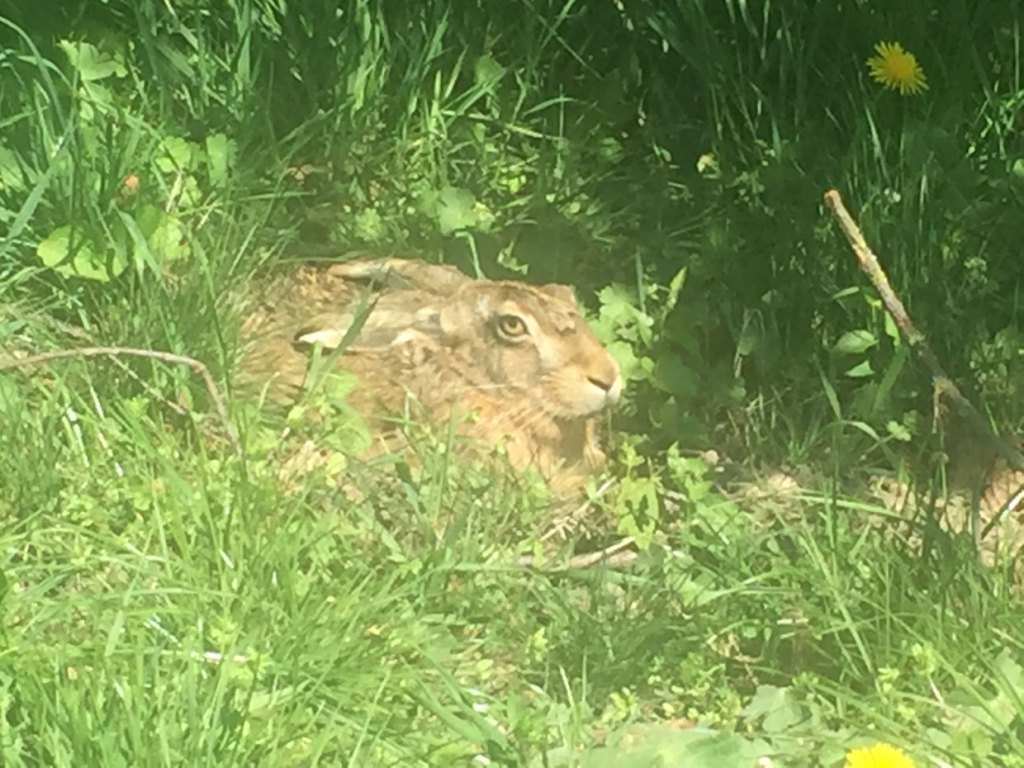 Golfclub St. Lorenz - Osterturnier 2019