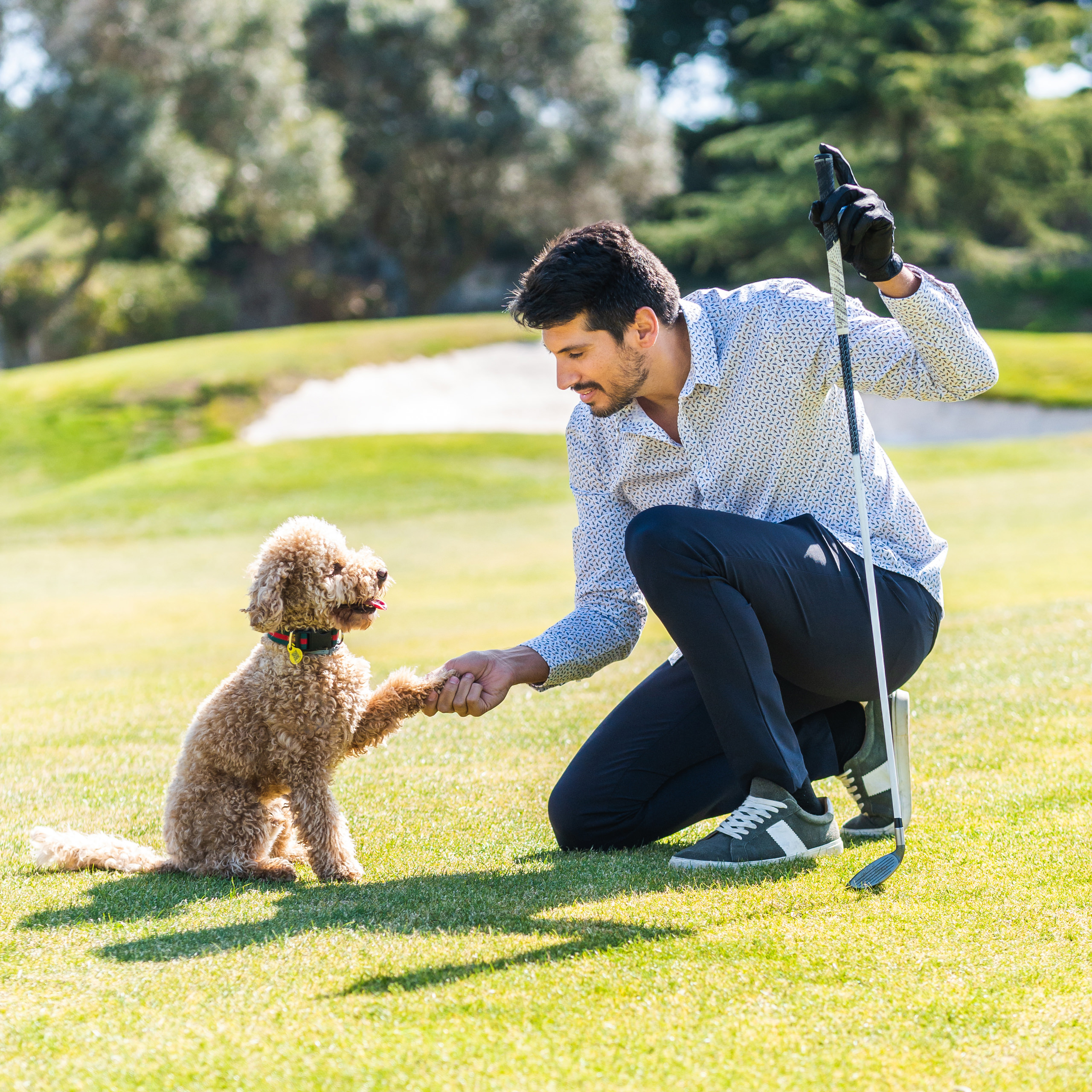 Golfen in Begleitung Ihres Hundes