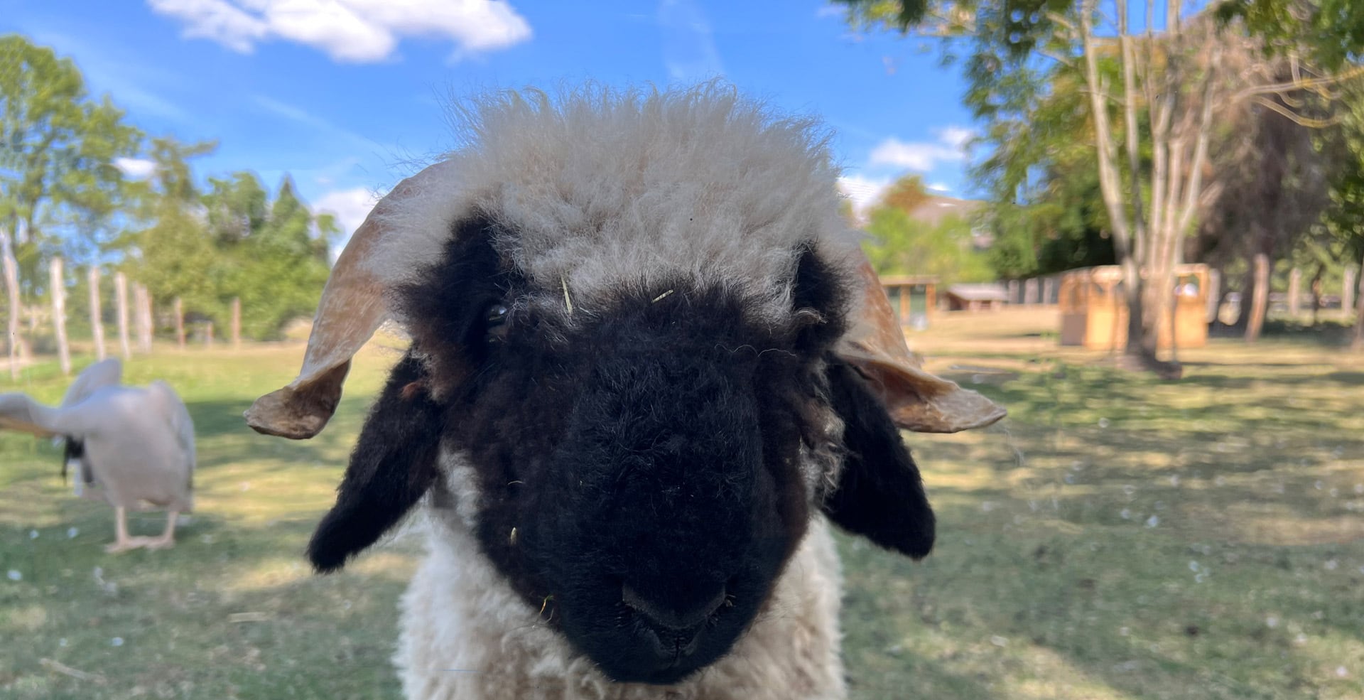 Golfclub St. Lorenz - Golfanlage