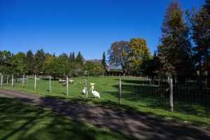 Golfclub St. Lorenz - Klostergarten